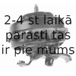 Piekare, Dzinējs SWAG 30 13 0002