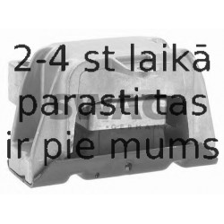 Piekare, Dzinējs SWAG 30 13 0081