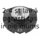 Amortizatora statnes balsts SWAG 30 54 0025