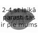 Amortizatora statnes balsts SWAG 30 54 0027