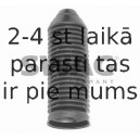 Aizsargvāciņš/Putekļusargs, Amortizators SWAG 30 60 0038
