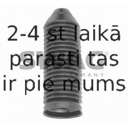 Aizsargvāciņš/Putekļusargs, Amortizators SWAG 30 60 0038