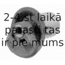 Piekare, Tilta sija SWAG 30 79 0012