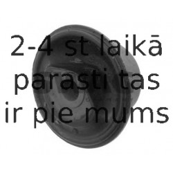 Piekare, Tilta sija SWAG 30 79 0014