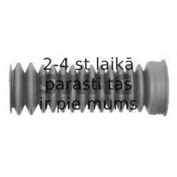 Putekļusargs, Stūres iekārta SWAG 30 80 0060