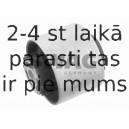 Piekare, Tilta sija SWAG 30 92 9568