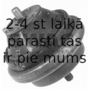 Piekare, Dzinējs SWAG 40 13 0025