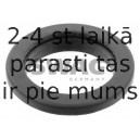 Ritgultnis, Amortizatora statnes balsts SWAG 50 91 2471