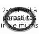 Ritgultnis, Amortizatora statnes balsts SWAG 50 91 7157