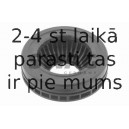 Ritgultnis, Amortizatora statnes balsts SWAG 50 93 1291