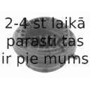 Ritgultnis, Amortizatora statnes balsts SWAG 50 93 1448