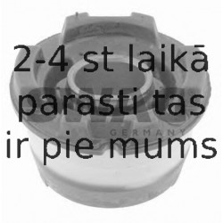 Piekare, Tilta sija SWAG 55 92 2961