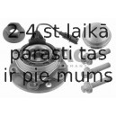 40923377