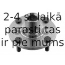 50903991