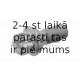 SWAG 10923933 (5)
