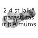55921508
