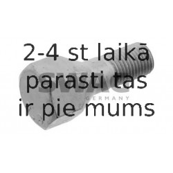 62932440
