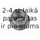 99901214