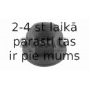 99903556