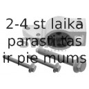 32932541