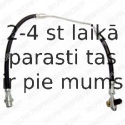 DELPHI Brem?u sist‰mas trubi?a