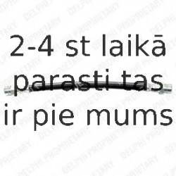 DELPHI Brem?u sist‰mas trubi?a