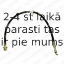 DELPHI Brem?u sist‰mas trubi?a
