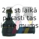 Stūres šķērsstiepņa uzgalis RTS 91-00601