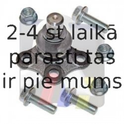 Balst-/Virzošais šarnīrs RTS 93-00742-056