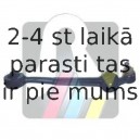 Neatkarīgās balstiekārtas svira, Riteņa piekare RTS 95-05938