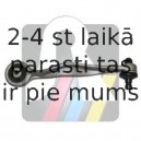 Neatkarīgās balstiekārtas svira, Riteņa piekare RTS 95-05973-1
