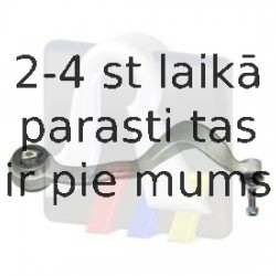 Neatkarīgās balstiekārtas svira, Riteņa piekare RTS 95-09576-1