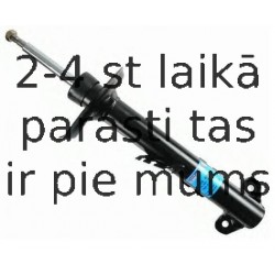 BOGE 33-014-A , Amortizators