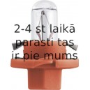 Philips BX8,4D orange 12V 1.1W