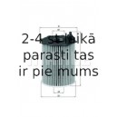 Eļļas filtrs MAHLE ORIGINAL OX 171/2D