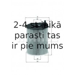 Eļļas filtrs MAHLE ORIGINAL OX 171/2D