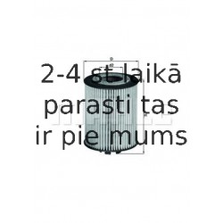 Eļļas filtrs MAHLE ORIGINAL OX 173/1D