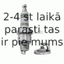 Aizdedzes svece BOSCH 0 242 245 531