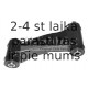 SPIDAN 304937 PUTEKĻU GUMIJA 24666 1904013 RENAULT