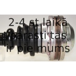 SPIDAN 304748 PUSASS P-1 KR 24475