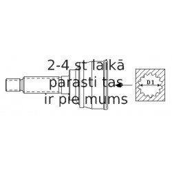 SPIDAN 304728 PUSASS GALS 24455