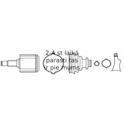 SPIDAN 304603 PUSASS GALS IEK 24287