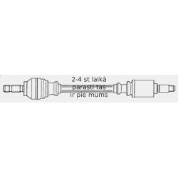 SPIDAN 301834 PUSASS P-1 KR 21659 PEUG 306