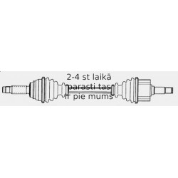SPIDAN 304784 PUSASS P-1 KR 24511