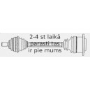 SPIDAN 304292 PUSASS P-1 L 23629 AUDI