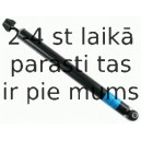 Amortizators SACHS 313 575