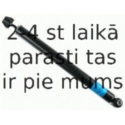 Amortizators SACHS 313 575