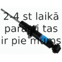 Amortizators SACHS 313 564