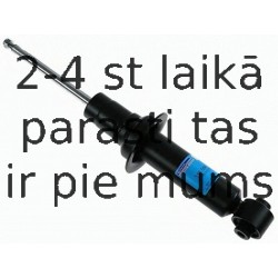 Amortizators SACHS 313 564