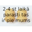 Буфер, амортизация SACHS 900 041